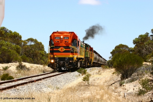 060111 2274
Peachna, Tooligie Hill Road grade crossing, empty grain train running north behind ARG 1200 class unit 1203, a Clyde Engineering EMD model G12C serial 65-427, one of fourteen originally built between 1960-65 for WAGR as their A class A 1513, fitted with dynamic brakes and financed by Western Mining Corporation, started working on the Eyre Peninsula in November 2004. 11th January 2006.
Keywords: 1200-class;1203;Clyde-Engineering-Granville-NSW;EMD;G12C;65-427;A-class;A1513;