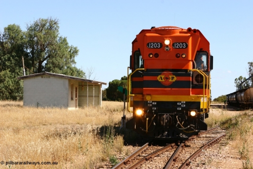 060111 2328
Warramboo, located at the 190.2 km and opened with the line in May 1913, with now disused station building on the left, Clyde Engineering built EMD G12C model loco 1203 serial 65-427 stands on the mainline as loading on the grain siding has started. 11th January 2006.
Keywords: 1200-class;1203;Clyde-Engineering-Granville-NSW;EMD;G12C;65-427;A-class;A1513;