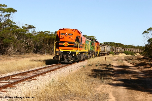 060111 2391
Wannamana, ARG 1200 class unit 1203, a Clyde Engineering EMD model G12C serial 65-427, one of fourteen originally built between 1960-65 for WAGR as their A class A 1513, fitted with dynamic brakes and financed by Western Mining Corporation, started working on the Eyre Peninsula in November 2004 here leading a north bound empty grain train heading to Wudinna. Wannamana was located at the 210 km and opened in January 1927, this scene is some 79 years later. The siding was closed in April 1957. 11th January 2006.
Keywords: 1200-class;1203;Clyde-Engineering-Granville-NSW;EMD;G12C;65-427;A-class;A1513;