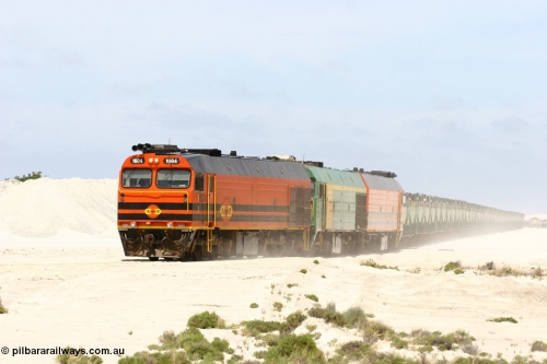 060113 2521
Kevin, empty train 6DD3 is heading onto the south leg and original gypsum loading siding to continue the reversing process. January 13, 2006.
Keywords: 1600-class;1604;Clyde-Engineering-Granville-NSW;EMD;JL22C;71-731;NJ-class;NJ4;