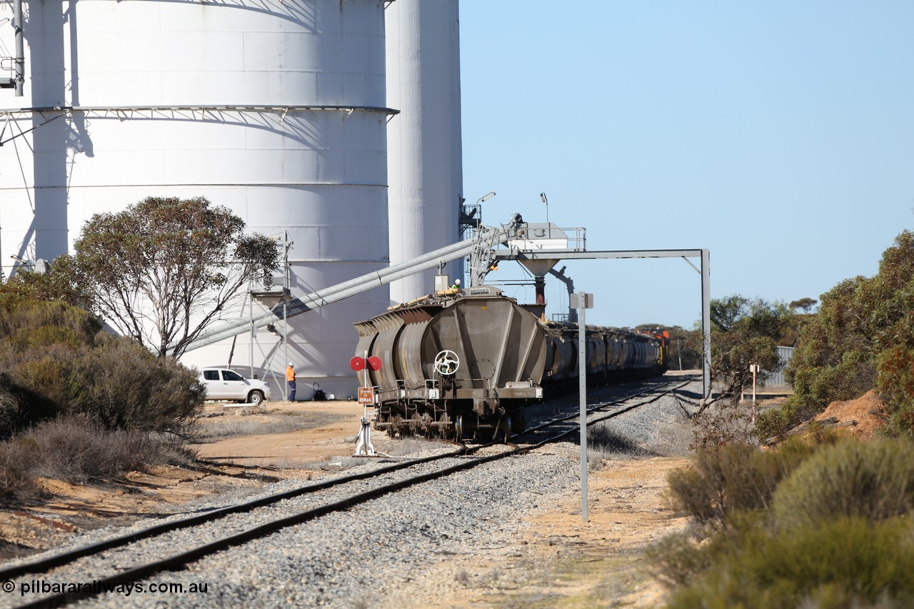 130703 0125
Murdinga, loading of grain from the Ascom out loading spout, looking south from Railway Tce. [url=https://goo.gl/maps/cY3UB7Z7a5uRhPZf9]Geo location[/url]. 3rd July 2013.

