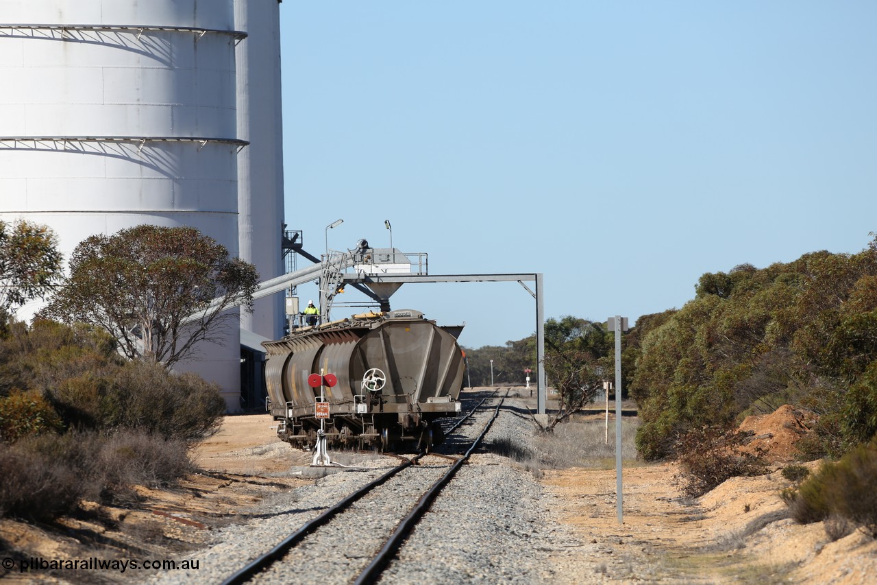 130703 0127
Murdinga, loading of grain from the Ascom out loading spout, looking south from Railway Tce. [url=https://goo.gl/maps/cY3UB7Z7a5uRhPZf9]Geo location[/url]. 3rd July 2013.
