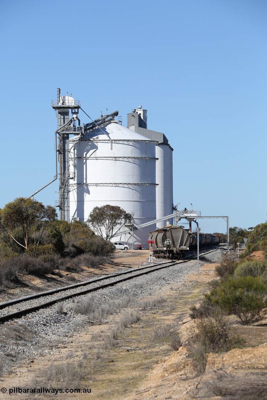 130703 0128
Murdinga, loading of grain from the Ascom out loading spout, looking south from Railway Tce. [url=https://goo.gl/maps/cY3UB7Z7a5uRhPZf9]Geo location[/url]. 3rd July 2013.
