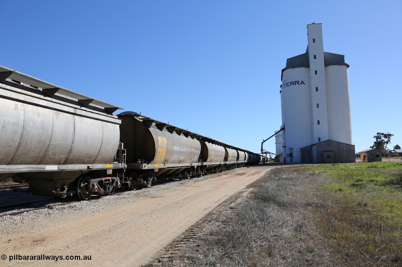 130703 0152
Murdinga, view looking north at the eight cell concrete silo complex built by SACBH with the Ascom silo visible behind and train being loaded in the siding. [url=https://goo.gl/maps/WFRgXQam4P4REFzu6]Geo location[/url]. 3rd July 2013.
