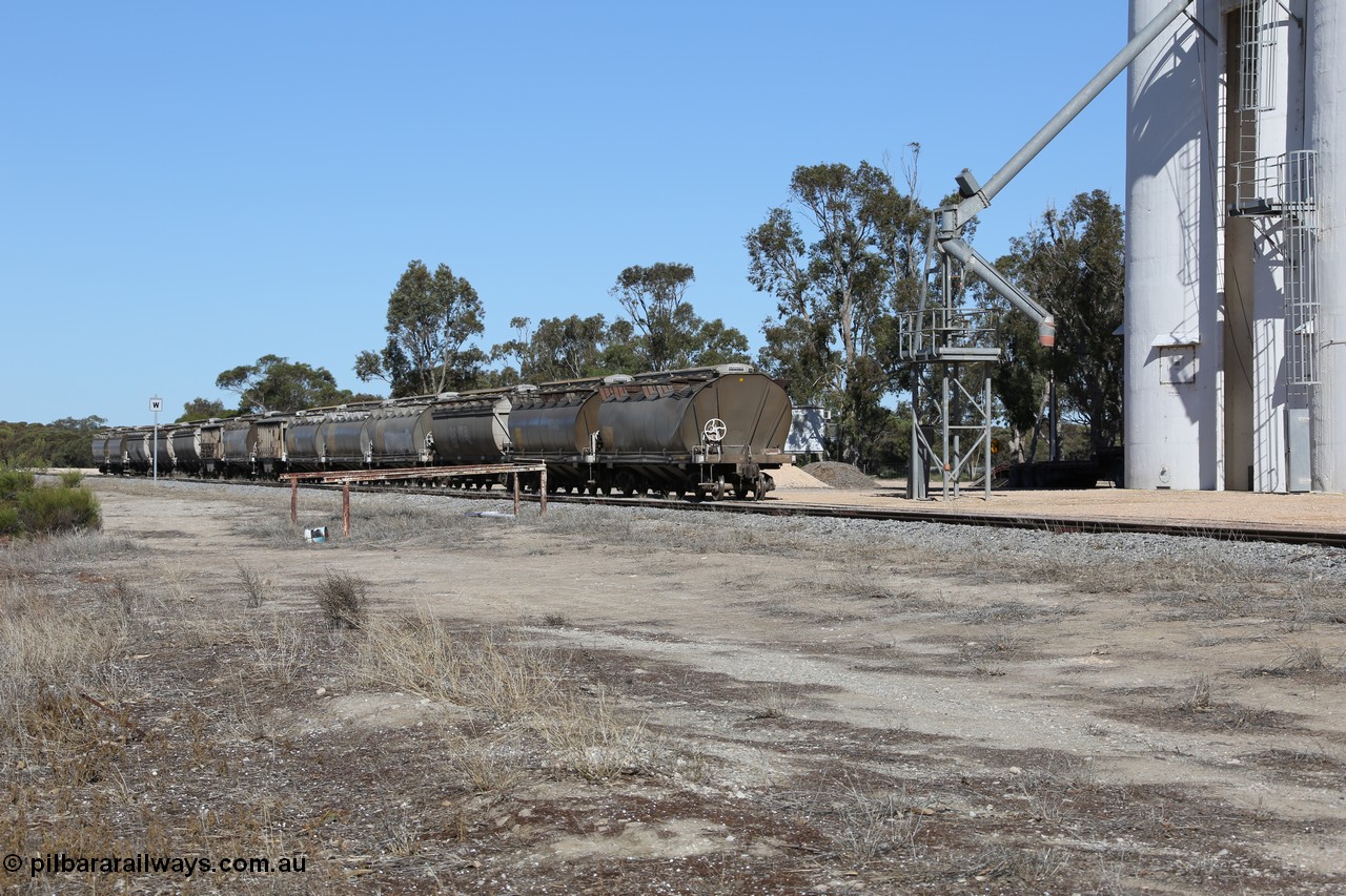 130703 0182
Tooligie, a rake of loaded grain waggons of the HAN, HBN and HCN types awaits collection for the trip to Port Lincoln. 3rd July 2013.
