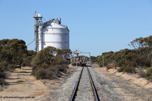 130703 0123
Murdinga, loading of grain from the Ascom out loading spout, looking south from Railway Tce. [url=https://goo.gl/maps/cY3UB7Z7a5uRhPZf9]Geo location[/url]. 3rd July 2013.
