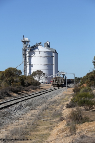 130703 0124
Murdinga, loading of grain from the Ascom out loading spout, looking south from Railway Tce. [url=https://goo.gl/maps/cY3UB7Z7a5uRhPZf9]Geo location[/url]. 3rd July 2013.
