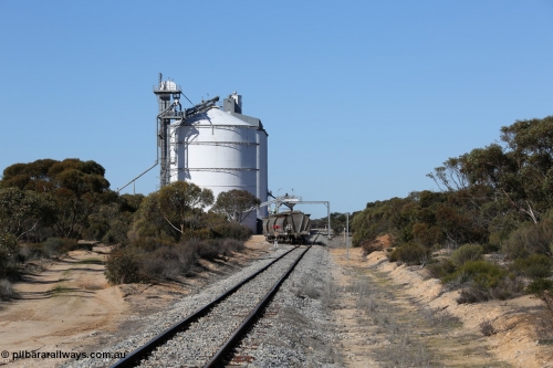 130703 0126
Murdinga, loading of grain from the Ascom out loading spout, looking south from Railway Tce. [url=https://goo.gl/maps/cY3UB7Z7a5uRhPZf9]Geo location[/url]. 3rd July 2013.
