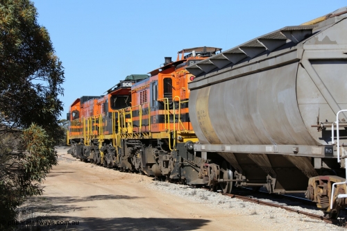 130703 0148
Murdinga, HCN type bogie grain hopper waggon HCN 12, originally an NHB type hopper built by Tulloch Ltd for the Commonwealth Railways North Australia Railway. One of forty rebuilt by Islington Workshops 1978-79 to the HCN type with a 36 ton rating, increased to 40 tonnes in 1984. Seen here loaded with grain with a Moose Metalworks roll-top cover. [url=https://goo.gl/maps/uDetNu8Kqon3CEMR6]Geo location[/url]. 3rd July 2013.
Keywords: HCN-type;HCN12;SAR-Islington-WS;rebuild;Tulloch-Ltd-NSW;NHB-type;NHB1591;