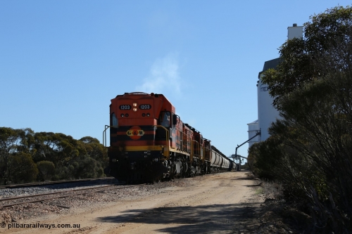 130703 0169
Murdinga, ARG 1200 class unit 1203, a Clyde Engineering EMD model G12C serial 65-427, one of two originally built in 1965 for Western Mining Corporation and operated by the WAGR as their A class A 1513, fitted with dynamic brakes, started working on the Eyre Peninsula in November 2004.
Keywords: 1200-class;1203;Clyde-Engineering-Granville-NSW;EMD;G12C;65-427;A-class;A1513;