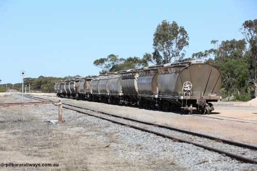 130703 0192
Tooligie, a rake of loaded grain waggons of the HAN, HBN and HCN types awaits collection for the trip to Port Lincoln. 3rd July 2013.
