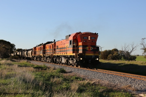 130703 0255
Kaldow, running south with the sun behind it is 1200 class 1204 a Clyde Engineering built EMD G12C model with serial 65-428 leading two ALCo units and was originally built in 1965 for Western Mining Corporation and operated by the WAGR as their A class A 1513. It came to the Eyre Peninsula in October 2004. [url=https://goo.gl/maps/FnDpXh45LbN7scrt5]Geo location[/url]. 3rd July 2013.
Keywords: 1200-class;1203;Clyde-Engineering-Granville-NSW;EMD;G12C;65-427;A-class;A1513;