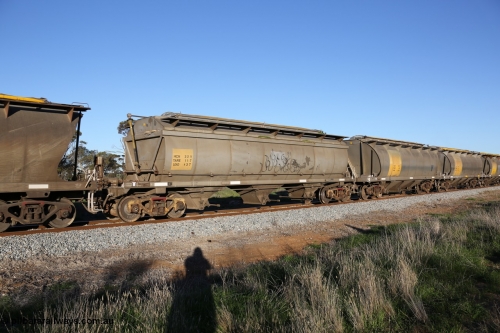 130703 0271
Kaldow, HCN type bogie grain hopper waggon HCN 22, originally an NHB type hopper built by Tulloch Ltd for the Commonwealth Railways North Australia Railway. One of forty rebuilt by Islington Workshops 1978-79 to the HCN type with a 36 ton rating, increased to 40 tonnes in 1984. Seen here loaded with grain with a Moose Metalworks roll-top cover.
Keywords: HCN-type;HCN22;SAR-Islington-WS;rebuild;Tulloch-Ltd-NSW;NHB-type;NHB1576;
