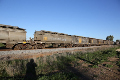 130703 0280
Kaldow, HCN type bogie grain hopper waggon HCN 29, originally an NHB type hopper built by Tulloch Ltd for the Commonwealth Railways North Australia Railway. One of forty rebuilt by Islington Workshops 1978-79 to the HCN type with a 36 ton rating, increased to 40 tonnes in 1984. Seen here loaded with grain with a Moose Metalworks roll-top cover.
Keywords: HCN-type;HCN29;SAR-Islington-WS;rebuild;Tulloch-Ltd-NSW;NHB-type;NHB1586;