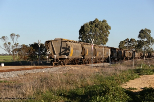 130703 0306
Kaldow, HAN type bogie grain hopper waggon HAN 61, one of sixty eight units built by South Australian Railways Islington Workshops between 1969 and 1973 as the HAN type for the Eyre Peninsula system.
Keywords: HAN-type;HAN61;1969-73/68-61;SAR-Islington-WS;