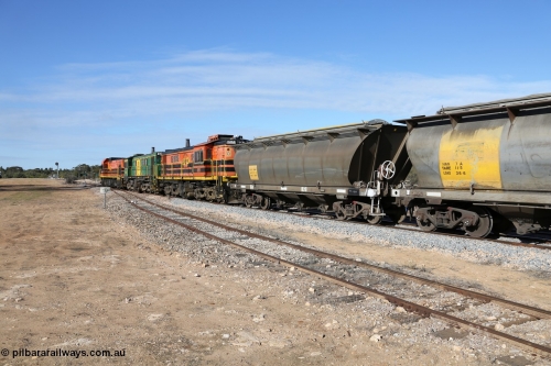 130704 0423
Kyancutta, south bound loaded grain train has stopped here to collect a loaded rack of grain waggons, seen here backing up to re-join the rest of the train on the mainline with one of only three electric signals on the network with the original goods siding closest to the camera, behind EMD 1204 and twin ALCo 830 units 873 and 851. 4th July 2013.
Keywords: HAN-type;HAN54;1969-73/68-54;SAR-Islington-WS;