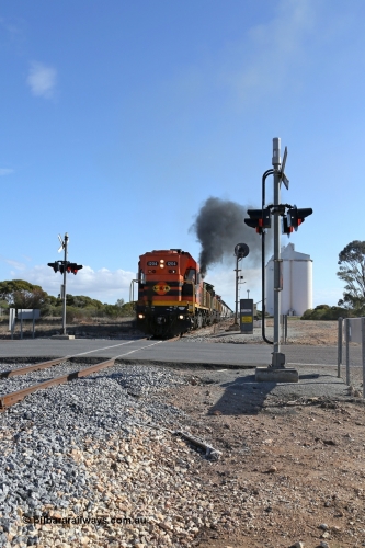 130704 0443
Kyancutta, the south bound loaded grain train gets away from attaching a further fourteen loads here as it is about to cross the Eyre Highway grade crossing with F Type flashing lights. 4th July 2013.
Keywords: 1200-class;1204;Clyde-Engineering-Granville-NSW;EMD;G12C;65-428;A-class;A1514;