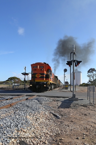 130704 0445
Kyancutta, the south bound loaded grain train gets away from attaching a further fourteen loads here as it crosses the Eyre Highway grade crossing with F Type flashing lights behind 1200 class EMD unit 1204. 4th July 2013.
Keywords: 1200-class;1204;Clyde-Engineering-Granville-NSW;EMD;G12C;65-428;A-class;A1514;