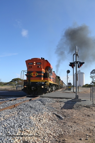 130704 0446
Kyancutta, the south bound loaded grain train gets away from attaching a further fourteen loads here as it crosses the Eyre Highway grade crossing with F Type flashing lights behind 1200 class EMD unit 1204. 4th July 2013.
Keywords: 1200-class;1204;Clyde-Engineering-Granville-NSW;EMD;G12C;65-428;A-class;A1514;