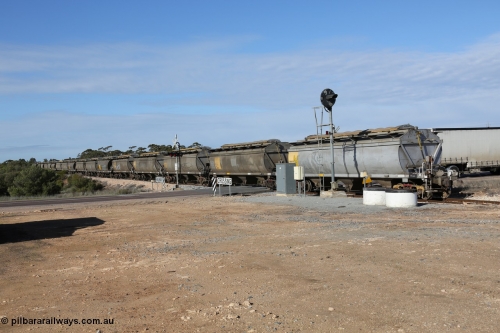 130704 0483
Kyancutta, the rear of a south bound loaded grain as it departs with the final five waggons all HCN type bogie grain hoppers converted by SAR Islington Workshops from Tulloch Ltd NSW built NHB type hopper waggons as they cross the Eyre Highway grade crossing and one of the three electric searchlight signals on the network. 4th July 2013.
Keywords: HCN-type;HCN40;SAR-Islington-WS;rebuild;Tulloch-Ltd-NSW;NHB-type;NHB1596;
