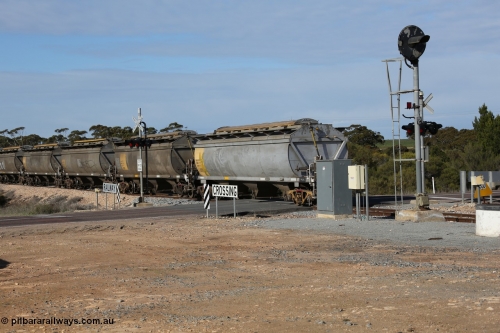 130704 0484
Kyancutta, the rear of a south bound loaded grain as it departs with the final five waggons all HCN type bogie grain hoppers converted by SAR Islington Workshops from Tulloch Ltd NSW built NHB type hopper waggons as they cross the Eyre Highway grade crossing and one of the three electric searchlight signals on the network. 4th July 2013.
Keywords: HCN-type;HCN40;SAR-Islington-WS;rebuild;Tulloch-Ltd-NSW;NHB-type;NHB1596;