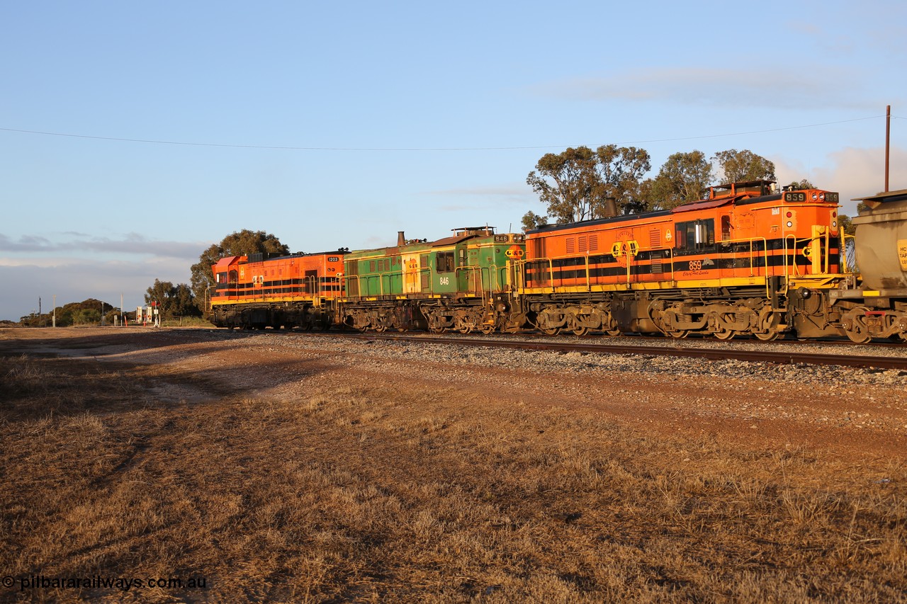 130705 0527
Lock, 1203, 846 and 859 shunt their loading grain train out of the siding onto the mainline. Genesee & Wyoming locomotive AE Goodwin ALCo model DL531 unit 859 'City of Port Lincoln' serial 84705, built in 1963, 859 started life at Peterborough, spent some years in Tasmania and even spent time in Perth on standard gauge in 2002 before being repainted and transferred to the Eyre Peninsula system in 2003. 5th of July 2013.
Keywords: 830-class;859;AE-Goodwin;ALCo;DL531;84137;