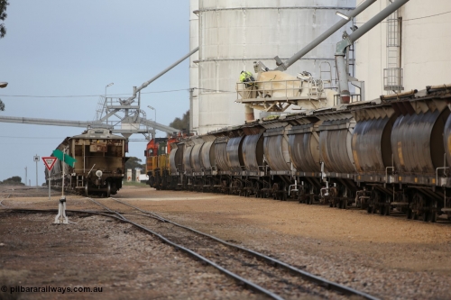 130705 0597
Lock, down end looking up towards Port Lincoln with silo blocks #5 and #1 with loading taking place, the horizontal bunker #4 is on the left where the overhead augers are going. Loaded portion sitting on the mainline.
