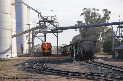 130705 0608
Lock, up end looking down through Lock, Viterra fast loader loading train while loaded portion sits on the mainline.
