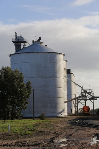 130705 0610
Lock, up end looking down through Lock, Ascom silo block #5 on the left, Viterra fast loader loading train while loaded portion sits on the mainline.
