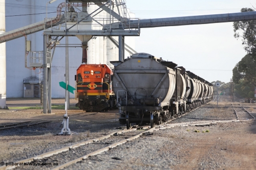 130705 0612
Lock, with loading finished, 1203 leads the final portion along goods siding #1 as it prepares to shunt back onto the loaded portion on the mainline for departure to Port Lincoln.
