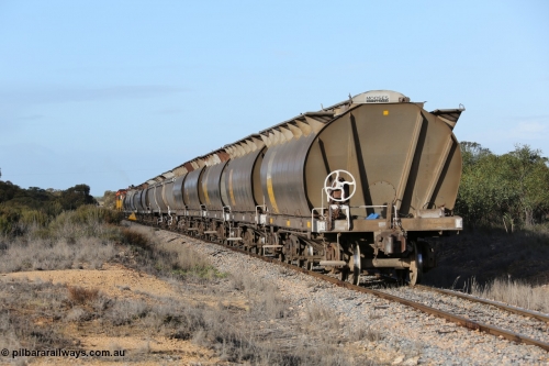 130705 0629
Lock, with loading finished, 1203 leads 846, 859 and the final portion out along the mainline out of goods siding #1 as it prepares to shunt back onto the loaded portion on the mainline for departure to Port Lincoln.
