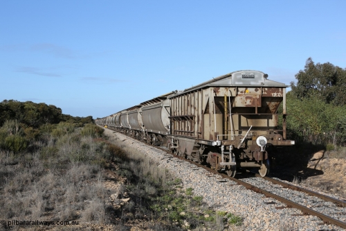 130705 0663
Lock, HBN type dual use ballast / grain hopper waggons, HBN 11 still with side gangways in place. One of seventeen built by South Australian Railways Islington Workshops in 1968 with a 25 ton capacity, increased to 34 tons in 1974. HBN 1-11 fitted with removable tops and roll-top hatches in 1999-2000. 5th July 2013.
Keywords: HBN-type;HBN11;1968/17-11;SAR-Islington-WS;