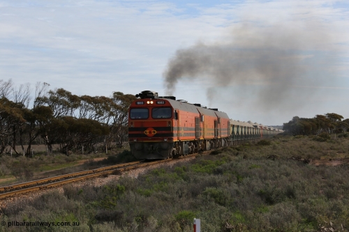 130708 0734
Charra, [url=https://goo.gl/maps/fnkK0]Charoban Rd grade crossing, 477.8 km[/url].
