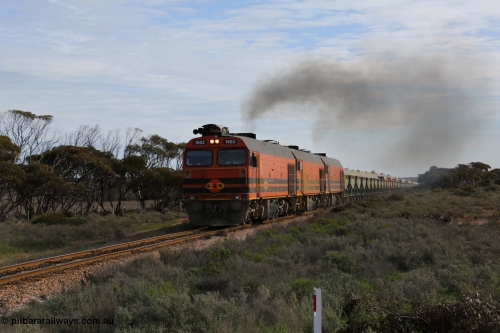 130708 0735
Charra, [url=https://goo.gl/maps/fnkK0]Charoban Rd grade crossing, 477.8 km[/url].
