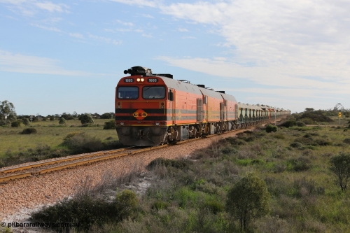 130708 0807
Moule, [url=https://goo.gl/maps/SWBMW]Mewett Rd grade crossing, 470.1 km[/url].
