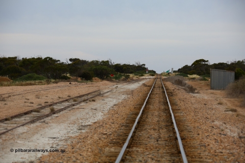 161109 1888
Moule, located at the 445.6 km, and opened on the 13th February 1966, looking towards Thevenard. Station shed on the right, looking across the 444.8 km grade crossing for Quarry Rd.
