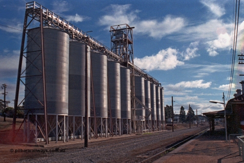 101-17
St Arnaud station yard overview looking north, station platform and building on right, corrugated iron Aquila silo complex on left.
