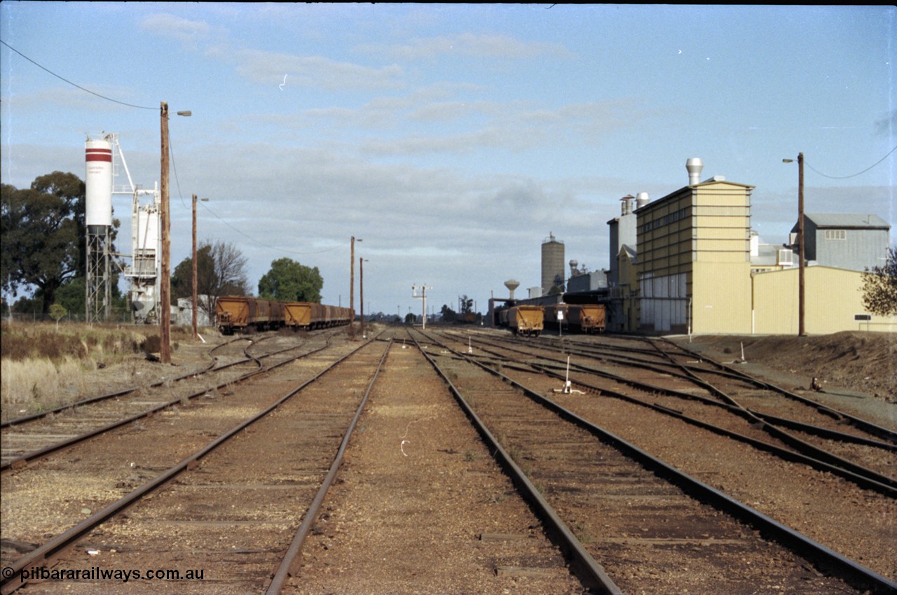 107-19
Echuca station yard overview looking south, cement siding at left, rakes of bogie grain waggons, semaphore signal post 4, and Ricegrowers Co-Op Mills sidings and more bogie grain waggons on the right, taken in between the Toolamba and Bendigo lines.
