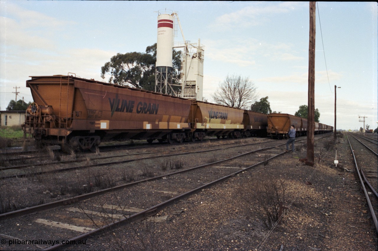 107-20
Echuca station yard view, Sidings B and cement siding, broad gauge V/Line Grain VHGF type bogie grain waggons, VHGF 405 built new in October 1984 by V/Line Ballarat North Workshops as a VHGY type, recoded in 1988.
Keywords: VHGF-type;VHGF405;V/Line-Ballarat-Nth-WS;VHGY-type;