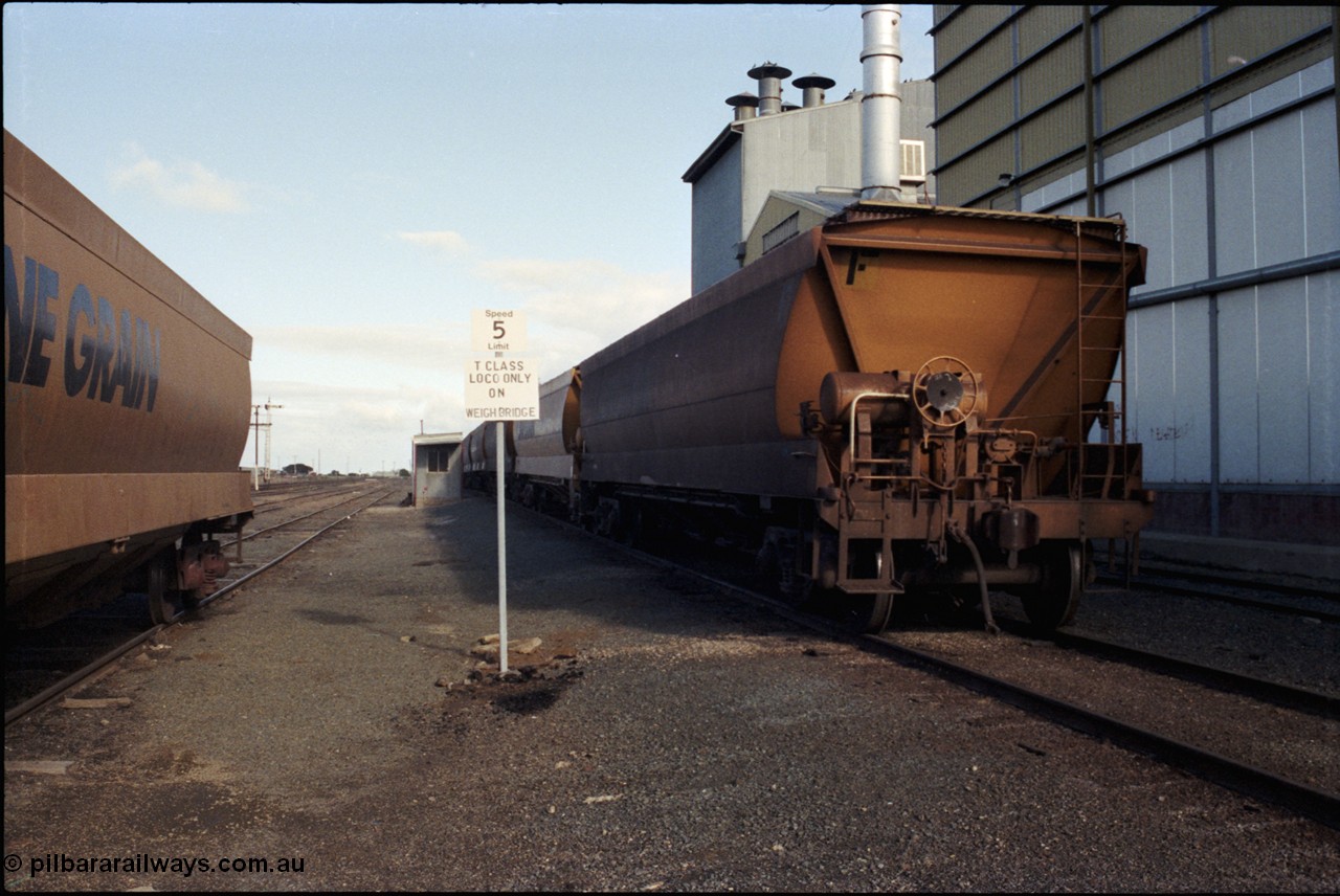 107-22
Echuca yard view, Sidings A at left, weighbridge track and Ricegrowers Co-op at right, sign for weighbridge, broad gauge V/Line Grain VHGF and VHHF type bogie grain waggons.
Keywords: VHGF-type;VHHF-type;