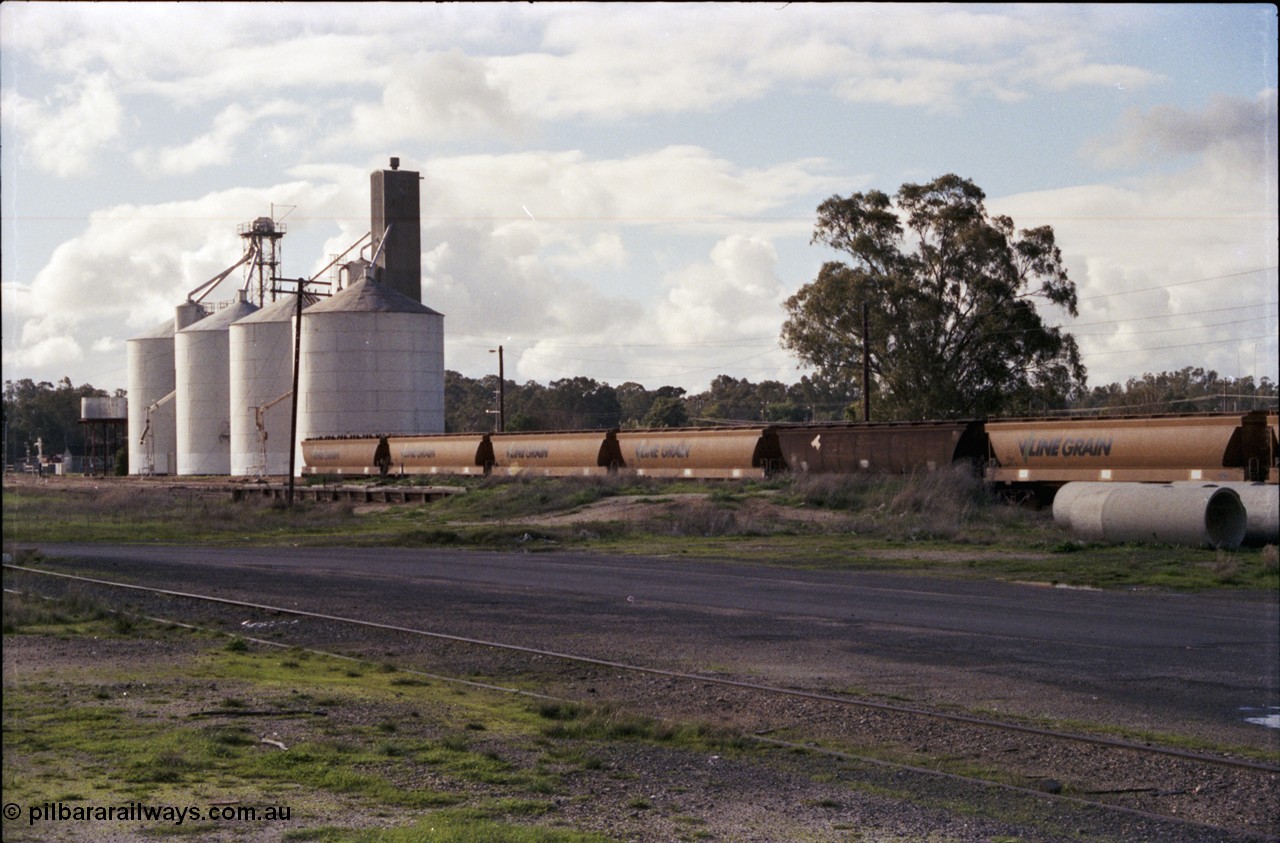 107-32
Echuca station yard view, V/Line Grain broad gauge VHGF type bogie grain waggons on No.4 Rd, former goods shed platform visible, two styles of Ascom silo complex and water tank in background.
Keywords: VHGF-type;