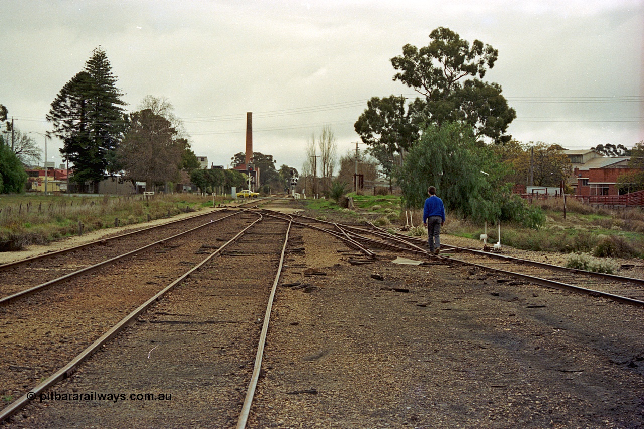 108-34
Kyabram station yard overview north end, looking toward Echuca, cattle yards in the distance.

