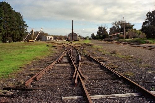 108-22
Tatura station yard overview, double compound points, derrick crane, super phosphate shed, goods shed, station building.
