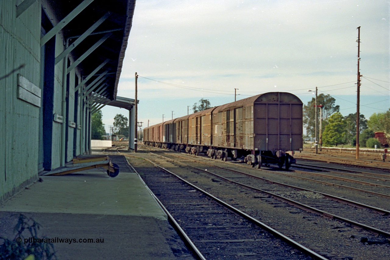 110-09
Benalla yard view, NSW louvre vans, looking north from goods shed loading platform.
