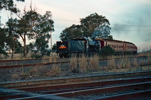 115-14
Somerton, Steamrail broad gauge K class K 153 Victorian Railways built Consolidation model 2-8-0 steam locomotive rounds the curve on the Upfield line with an up enthusiasts special running into Somerton to run around, standard gauge line to Ford's Siding in the middle, Steamrail special, looking across the North East running lines.
Keywords: K-class;K153;Victorian-Railways-Newport-WS;Consolidation;2-8-0;