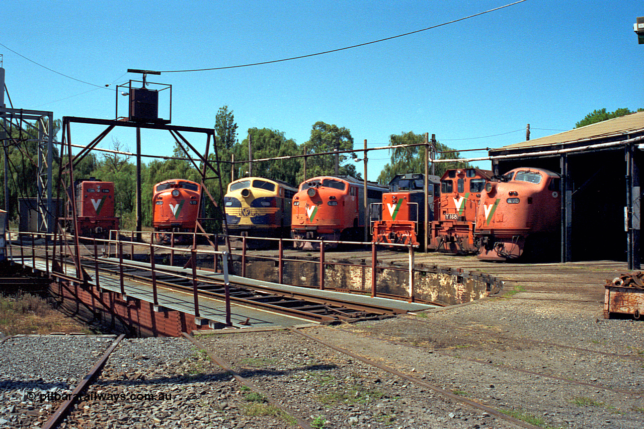 122-13
Traralgon loco depot, turntable and pit, roundhouse, V/Line broad gauge locos are all Clyde Engineering EMD models; T class T 396 model G8B serial 65-426, A class A 77 model AAT22C-2R serial 83-1181 rebuilt from B class B 77 model ML2 serial ML2-18, B class B 75 serial ML2-16 still in VR livery, A class A 81 serial 85-1189 rebuilt from B 81 serial ML2-22, T class T 381 model G8B serial 64-336, Y class Y 168 model G6B serial 68-588 and A class A 78 serial 84-1185 rebuilt from B class B 78 serial ML2-19, March 1992.

