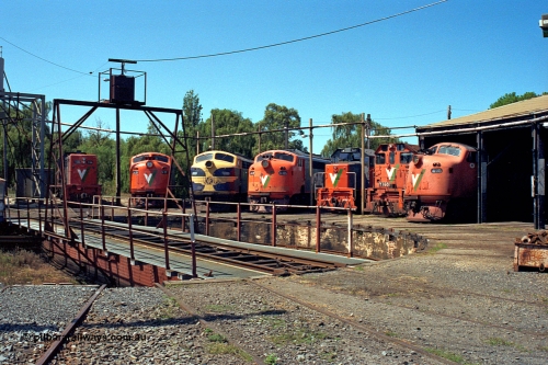 122-13
Traralgon loco depot, turntable and pit, roundhouse, V/Line broad gauge locos are all Clyde Engineering EMD models; T class T 396 model G8B serial 65-426, A class A 77 model AAT22C-2R serial 83-1181 rebuilt from B class B 77 model ML2 serial ML2-18, B class B 75 serial ML2-16 still in VR livery, A class A 81 serial 85-1189 rebuilt from B 81 serial ML2-22, T class T 381 model G8B serial 64-336, Y class Y 168 model G6B serial 68-588 and A class A 78 serial 84-1185 rebuilt from B class B 78 serial ML2-19, March 1992.
