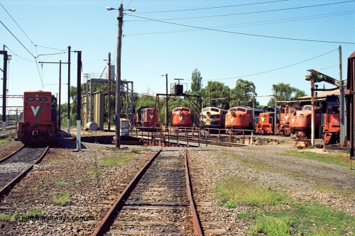 122-14
Traralgon loco depot overview from eastern end, V/Line broad gauge locos are all Clyde Engineering EMD models; T class T 407 model G18B serial 68-623, T class T 396 model G8B serial 65-426, A class A 77 model AAT22C-2R serial 83-1181 rebuilt from B class B 77 model ML2 serial ML2-18, B class B 75 serial ML2-16 still in VR livery, A class A 81 serial 85-1189 rebuilt from B class B 81 serial ML2-22, T class T 381 model G8B serial 64-336, Y class Y 168 model G6B serial 68-588, A class A 78 serial 84-1185 rebuilt from B class B 78 serial ML2-19 and G class G 512 model JT26C-2SS serial 84-1240.
