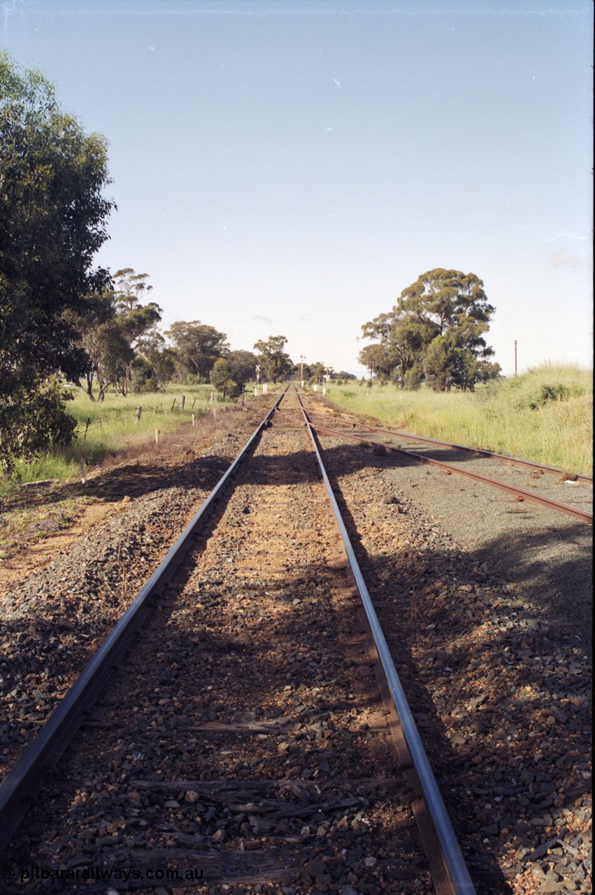 130-05
Elmore track view, looking south, towards Melbourne, end of yard at right.
