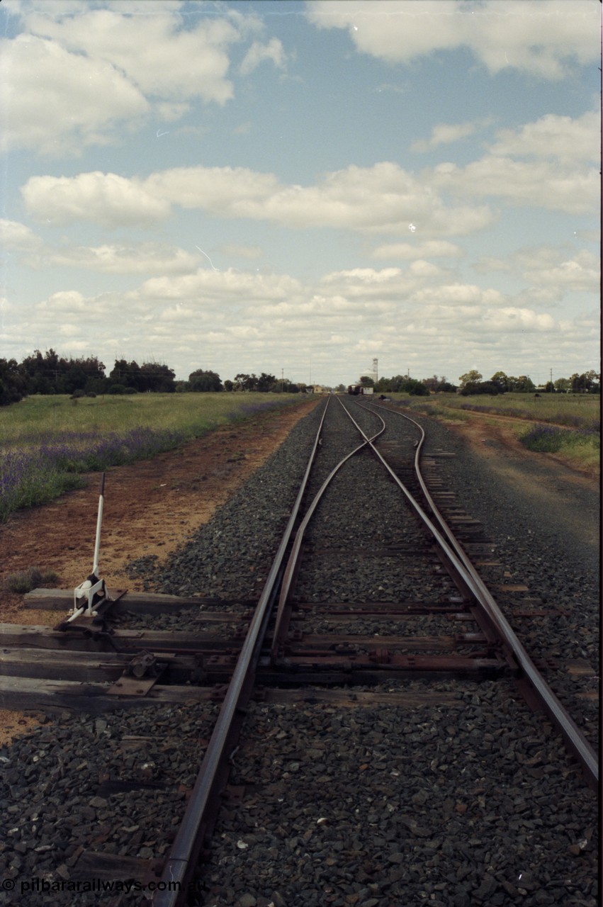 131-1-17
Wakool yard overview from north end points, point lever, looking south.

